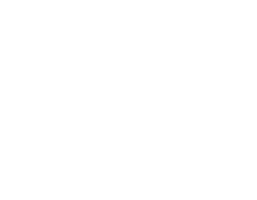 Australian Institute of Company Directors logo