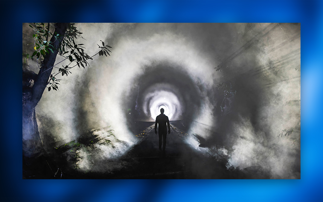 Win a double pass to Illuminate Adelaide’s Night Vision!