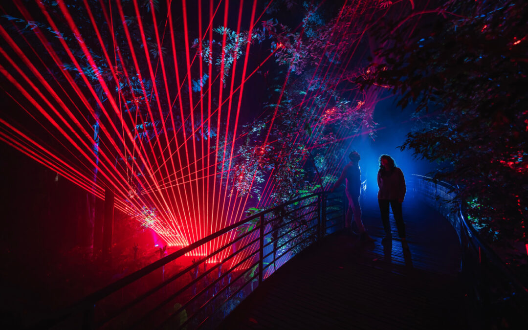 The Post – Win a double pass to Night Visions at Illuminate Adelaide