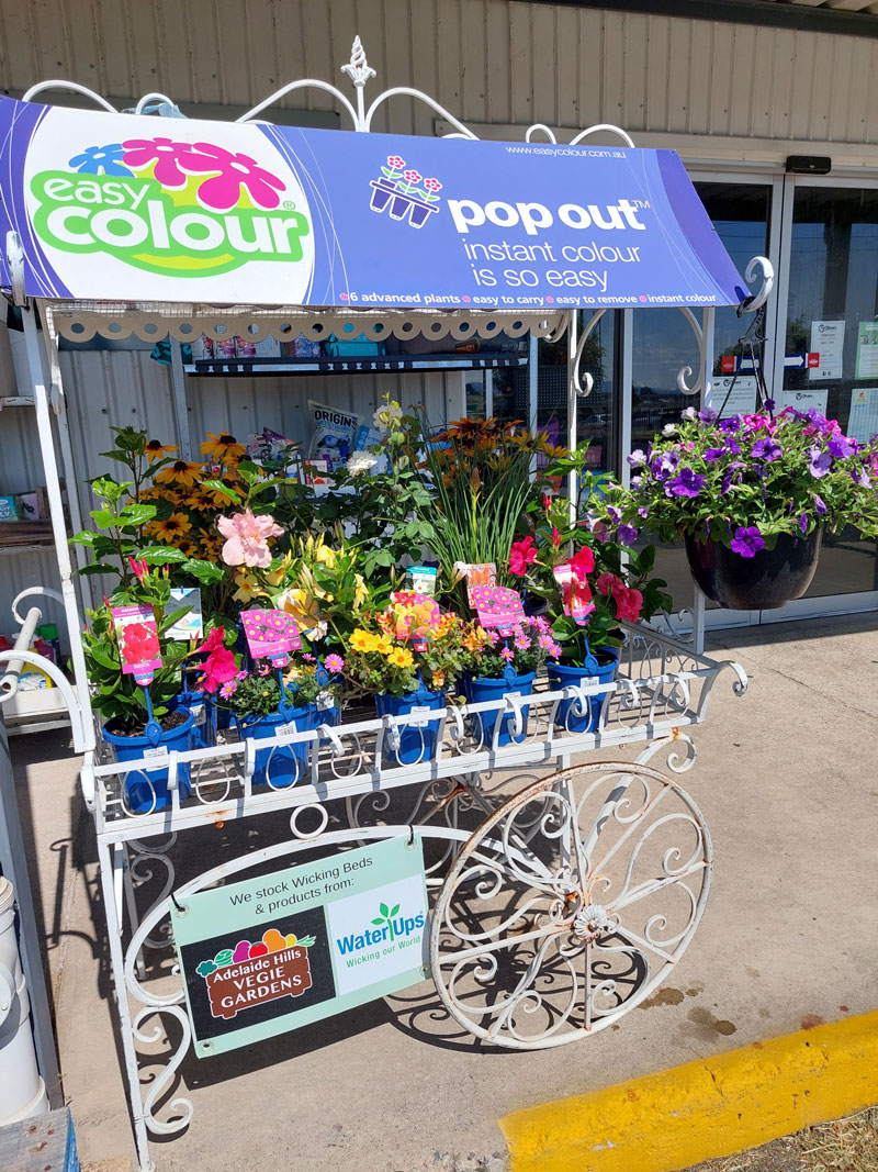 Oliver’s Pets and Plants