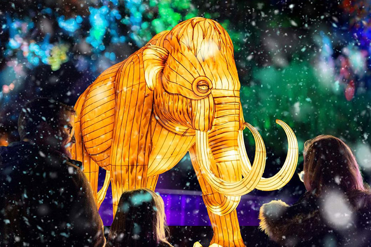 Win tickets to Illuminate Adelaide’s Universal Kingdom: Ice Age Family Night