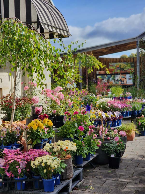 McCourts Garden Centre
