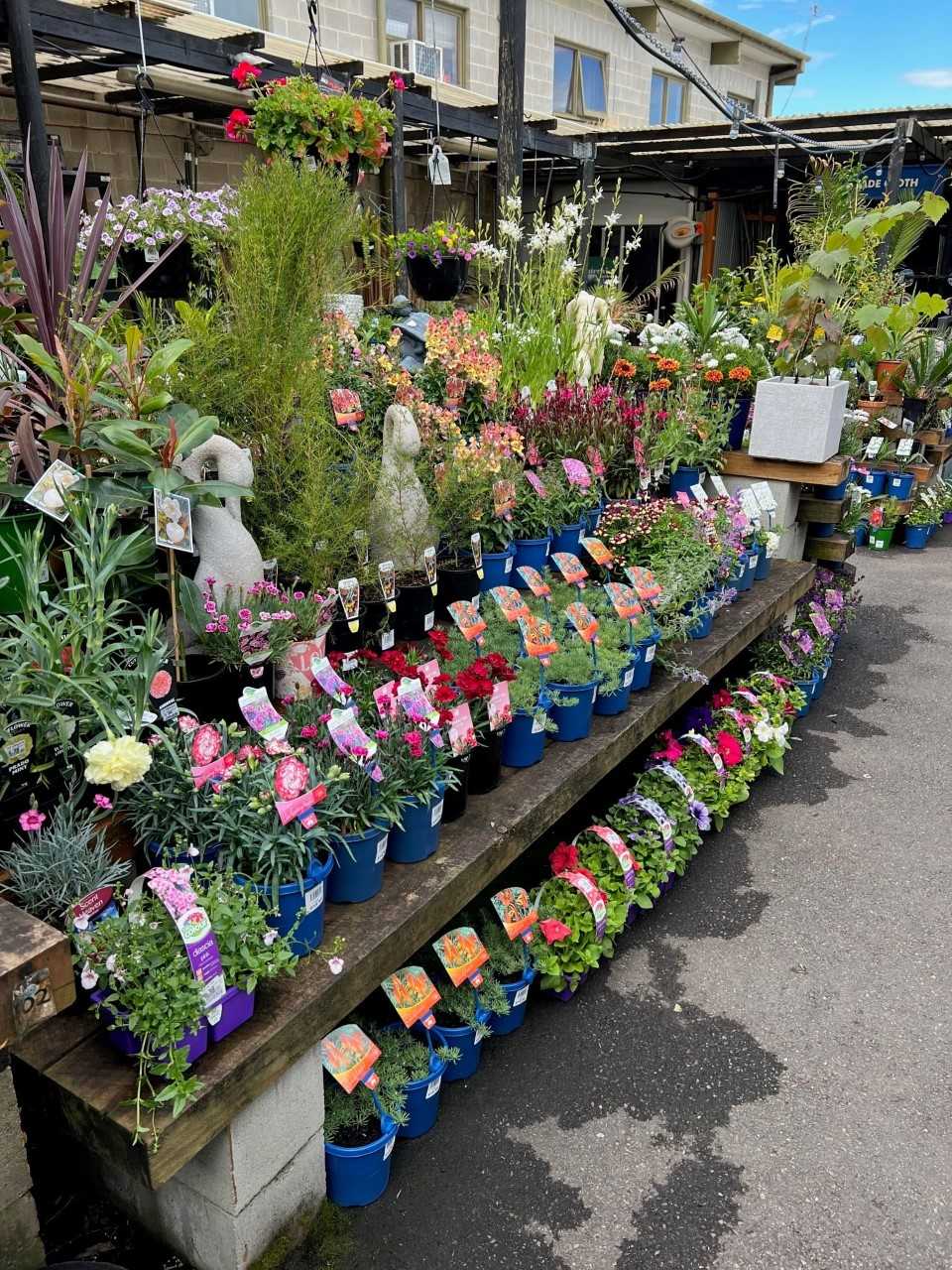 Blackwood K&B Mitre 10